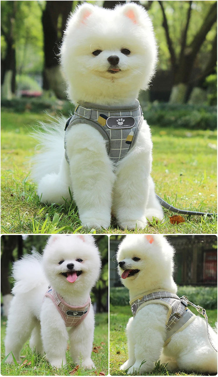 Plaid Small Dog Harness & Leash