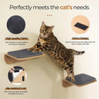 Wall-Mounted Cat Ledge & Steps