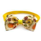 Turkey Bow Tie Pet Accessory (50pk)