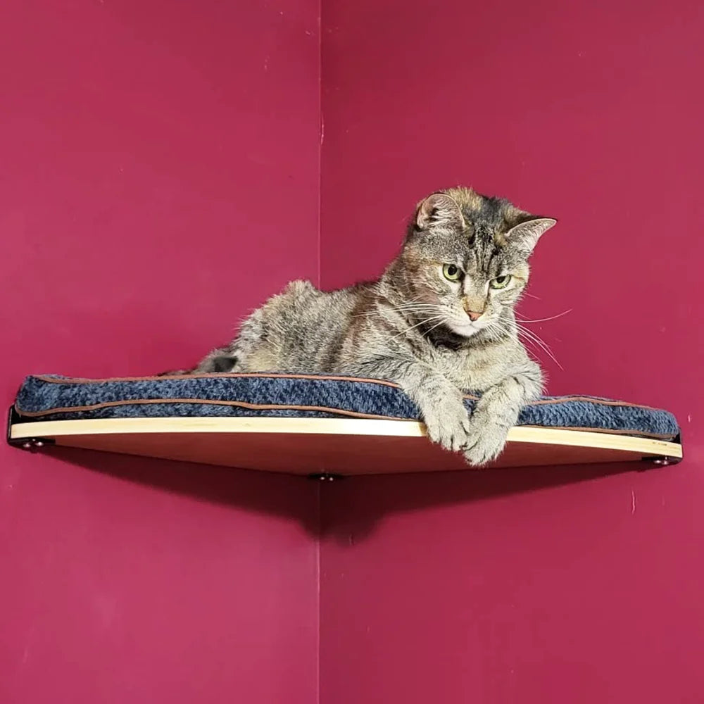 Wall-Mounted Cat Ledge & Steps
