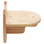 Modern Hardwood Cat Wall Shelf