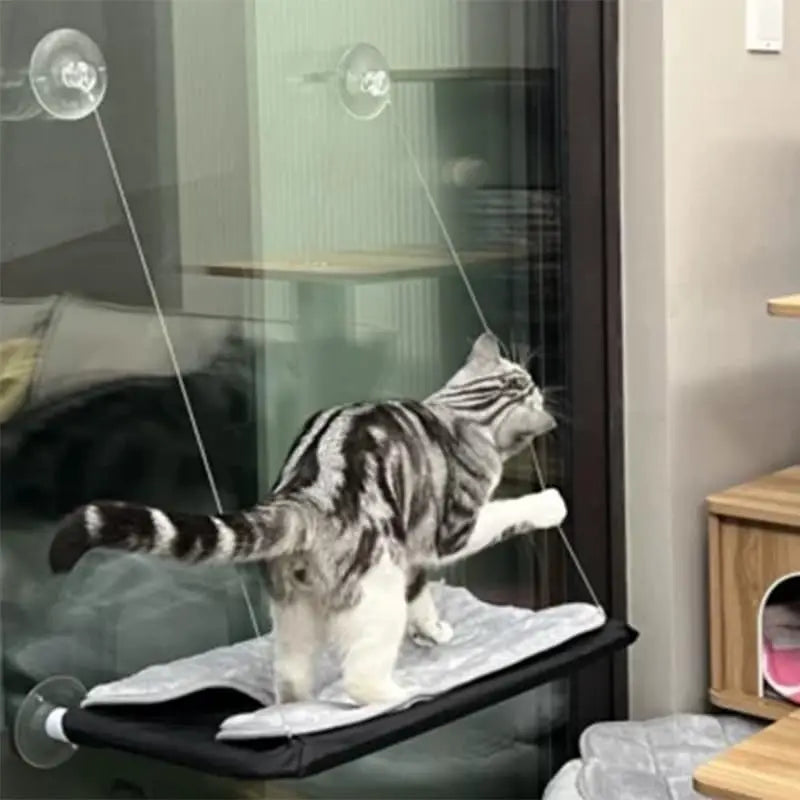 Cat Window Hammock