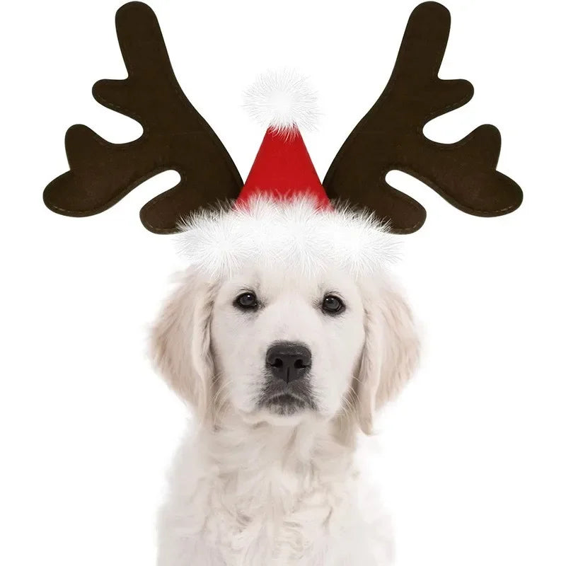 Reindeer Antlers Pet Costume