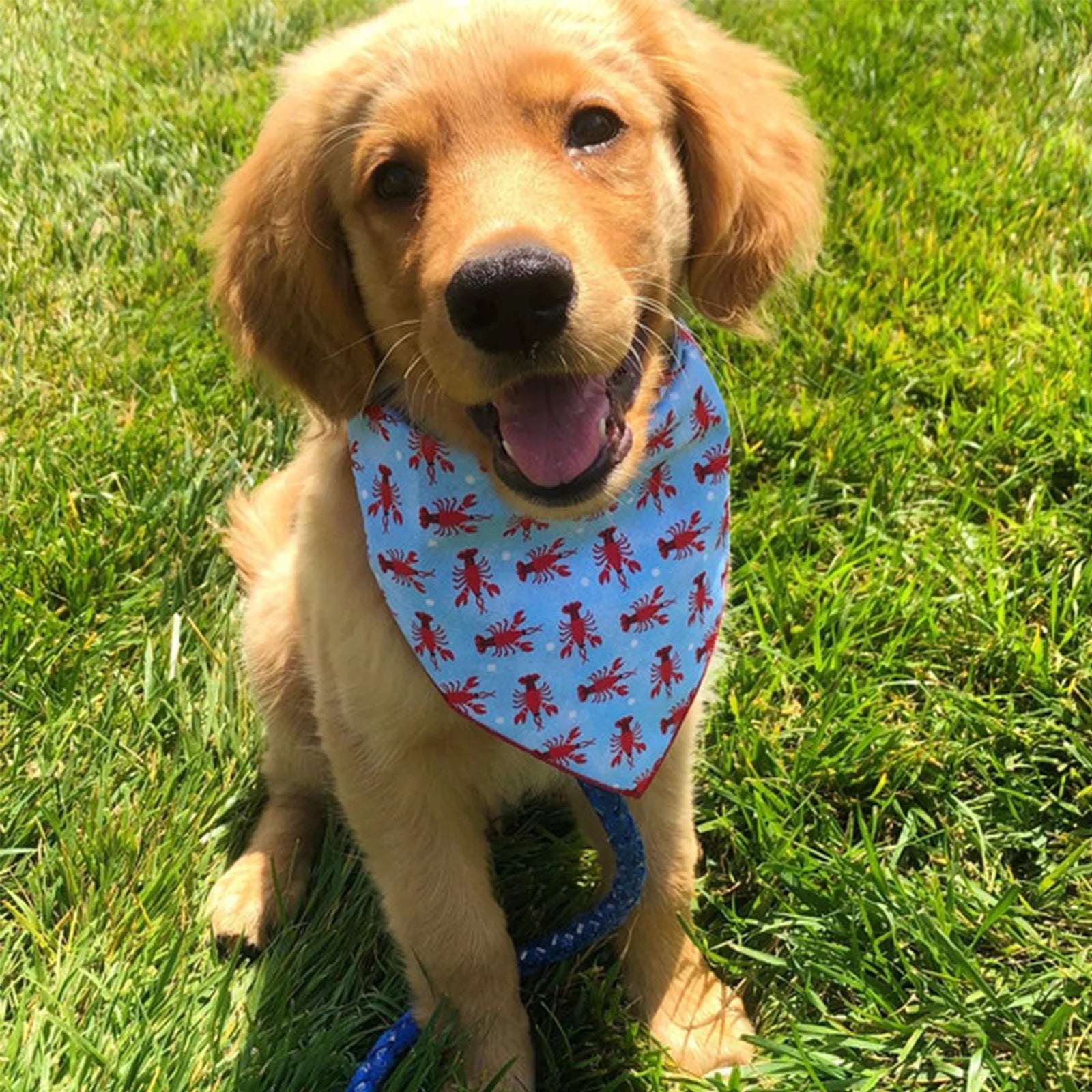 Triangle Pet Bandana Scarf
