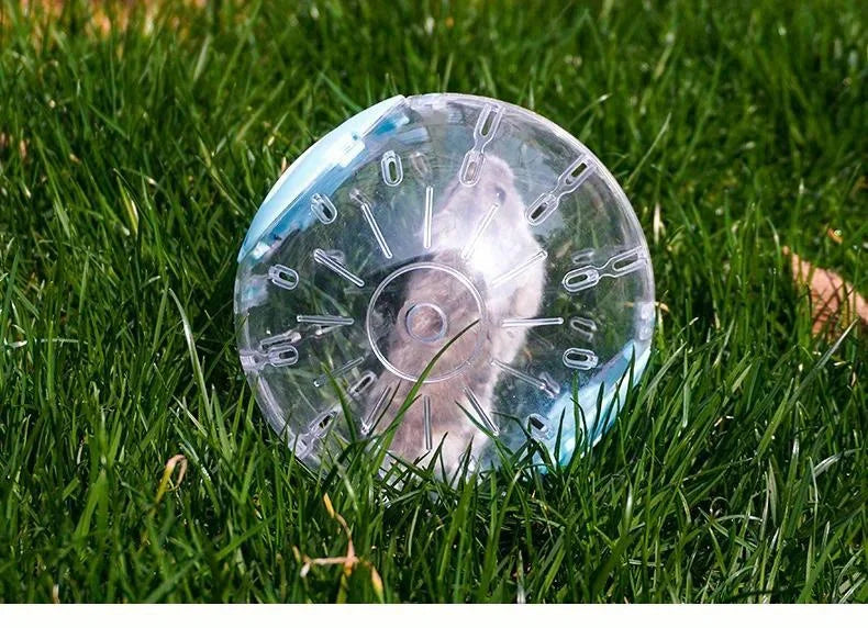 Small Pet Exercise Ball