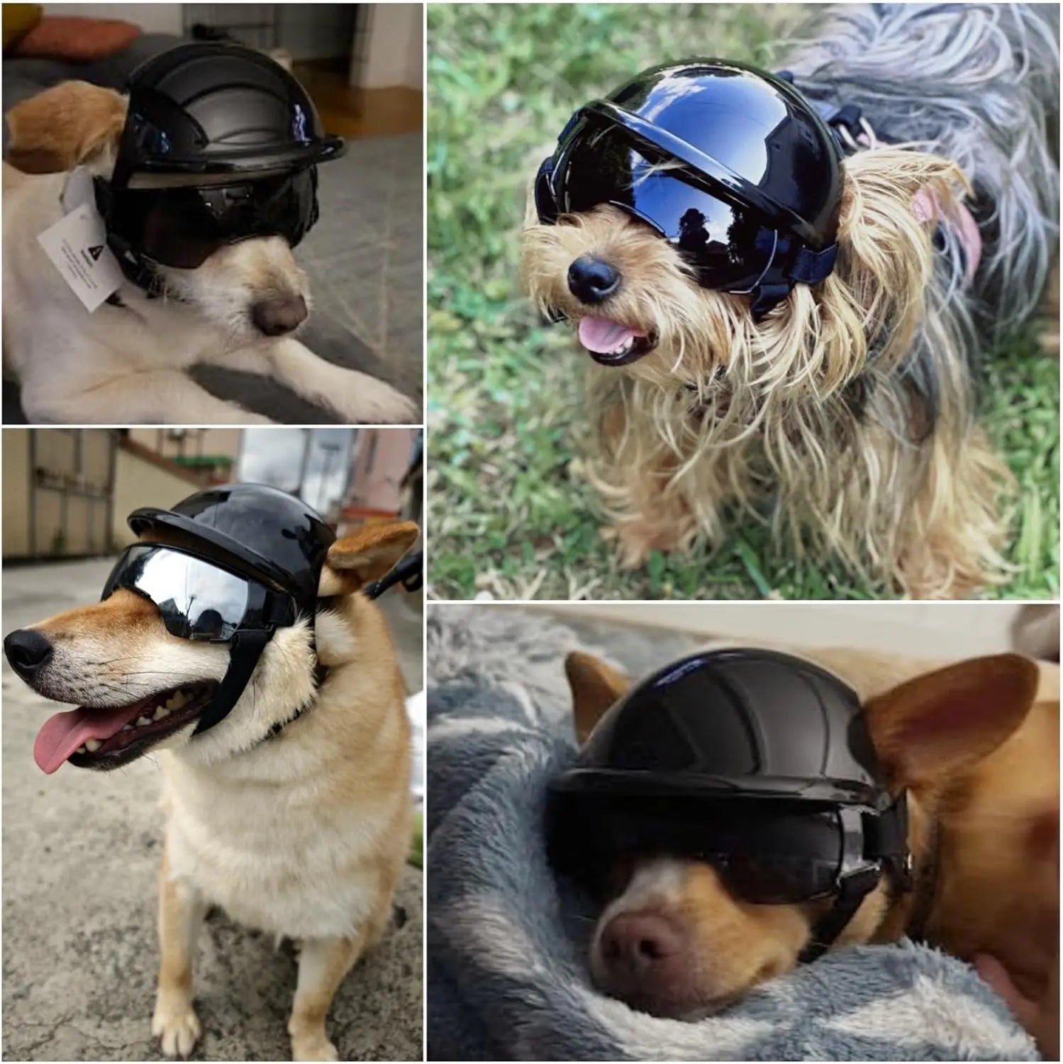 Motorcycle Style Pet Helmet & Glasses