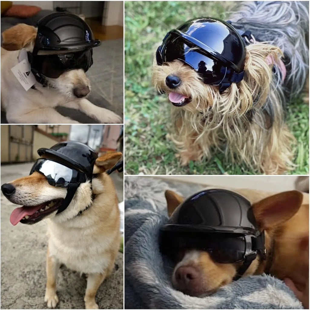 Motorcycle Style Pet Helmet & Glasses
