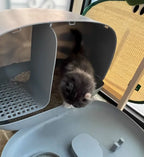 Fully Enclosed Self-Cleaning Litter Box