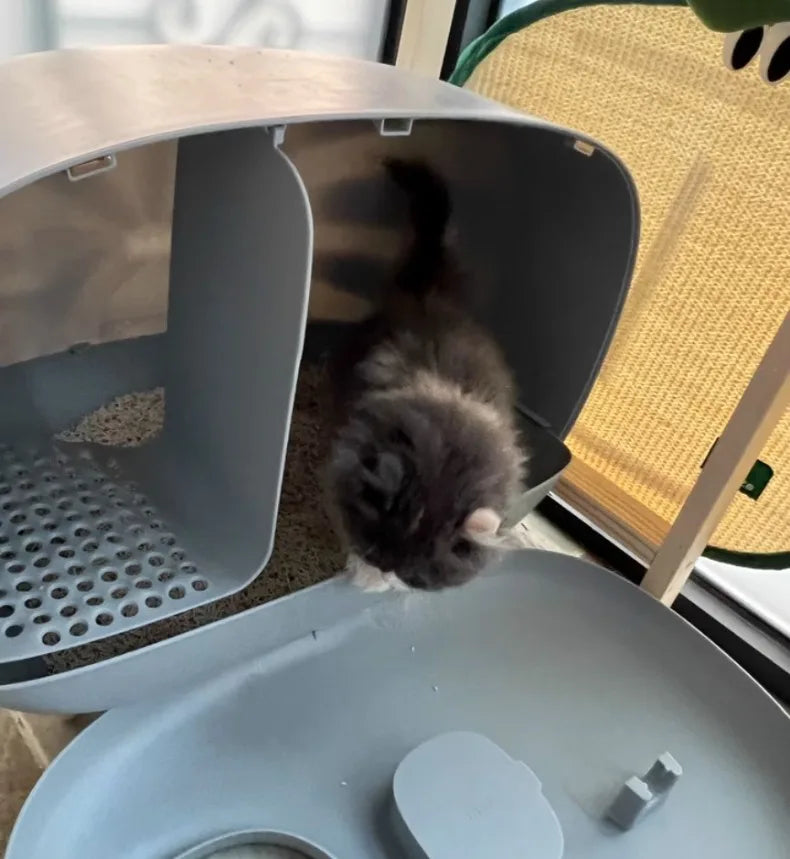 Fully Enclosed Self-Cleaning Litter Box