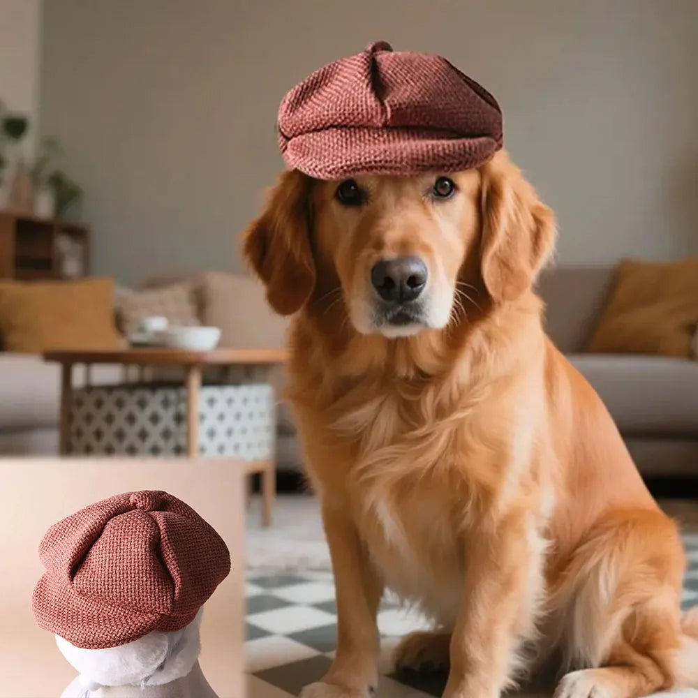 Retro Beret Pet Hat