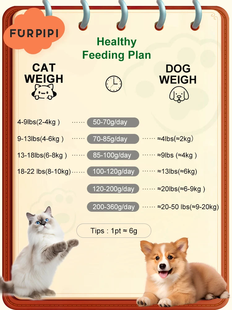 Smart WiFi Cat Feeder with Camera