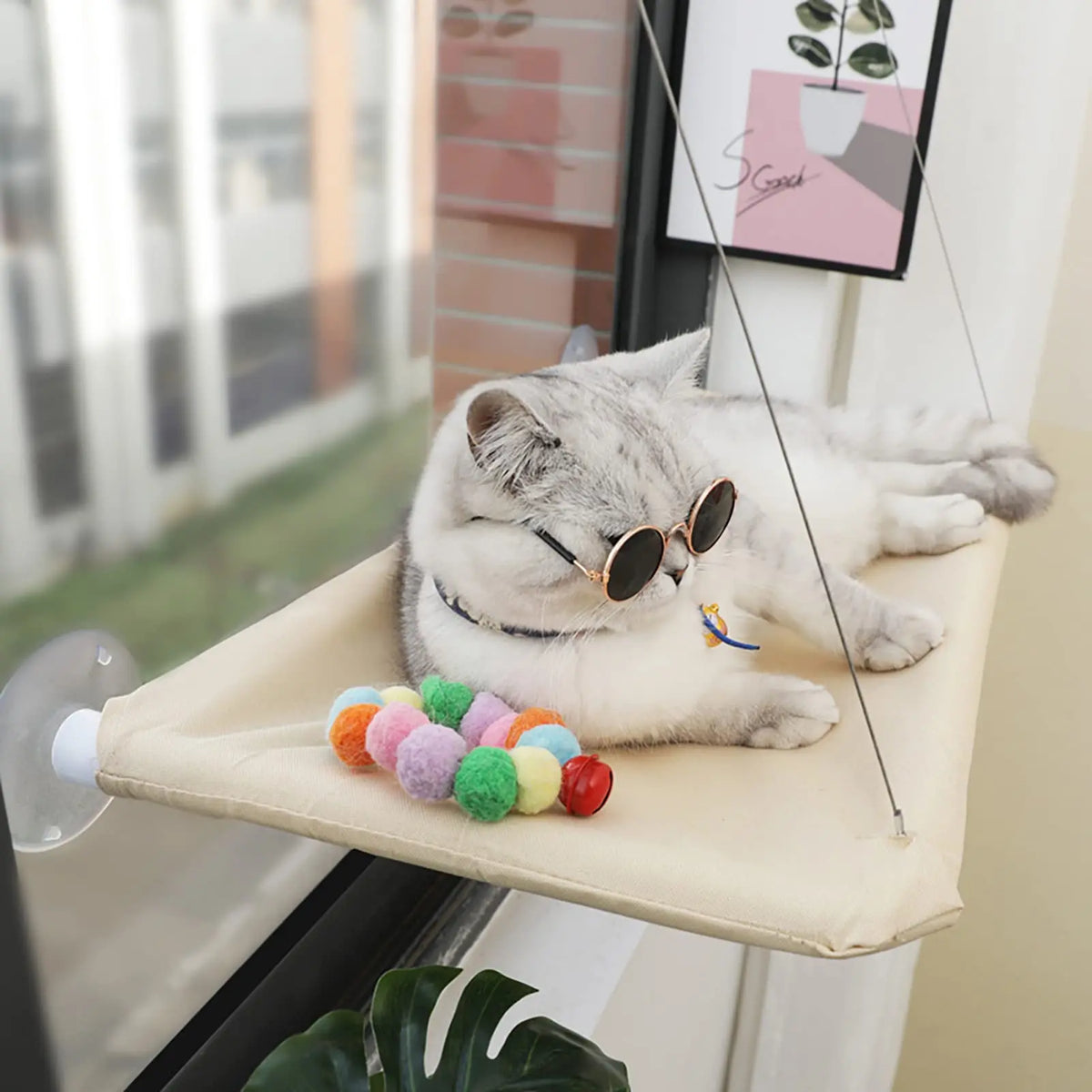 Cat Window Hammock