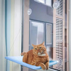 Cat Window Hammock