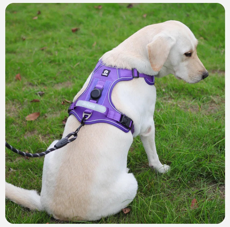 Anti-Pull Reflective Dog Harness