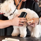 Professional Pet Deshedding Brush Multifunctional Pet Groom Brush Ergonomic Pet Groom Brush Dog Hair Remover Deshedding Tool