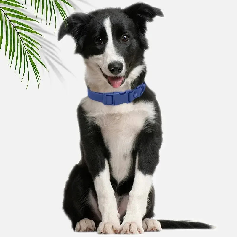 Macaron Color Waterproof Dog Collar