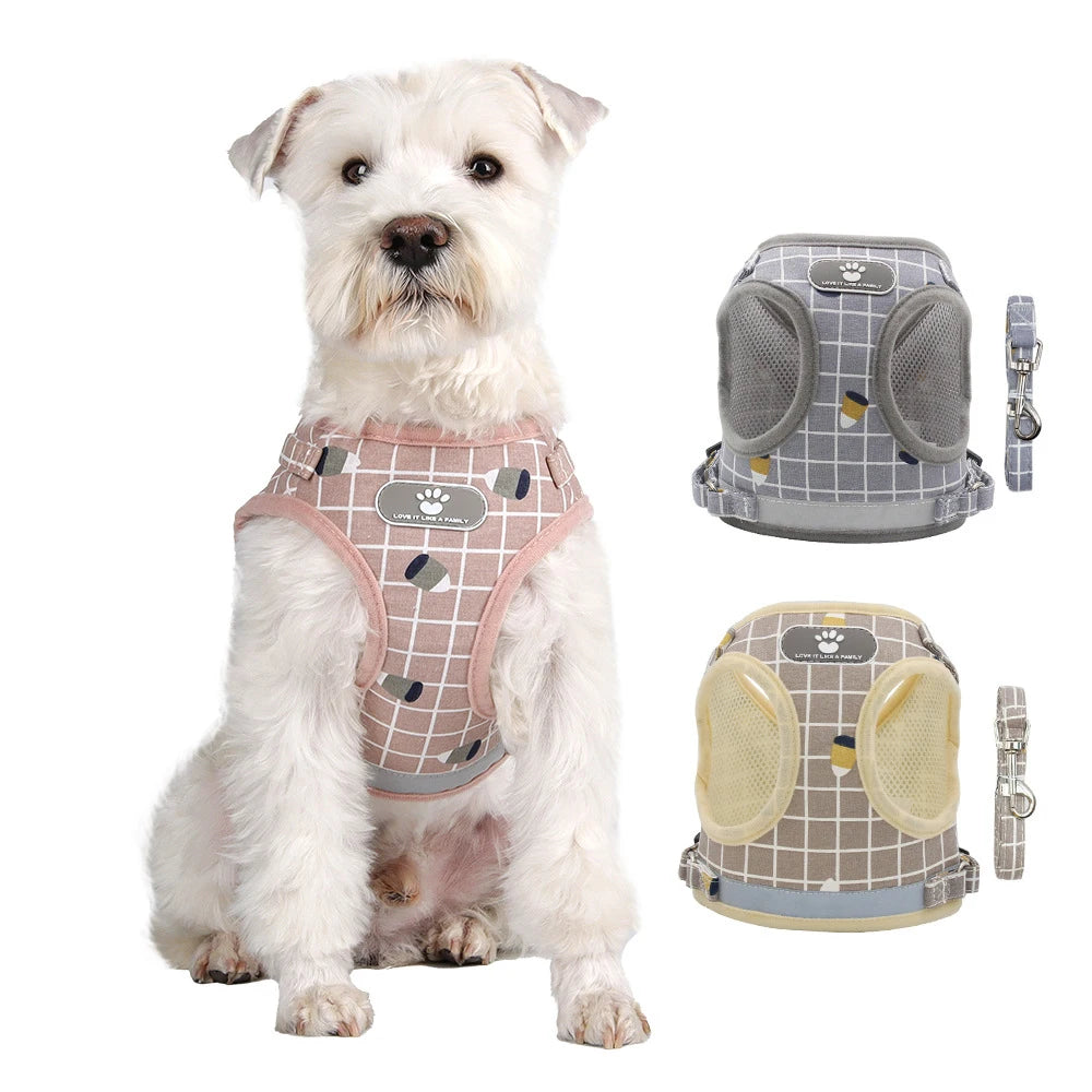 Plaid Small Dog Harness & Leash
