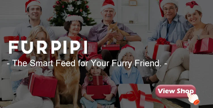 Smart WiFi Cat Feeder with Camera