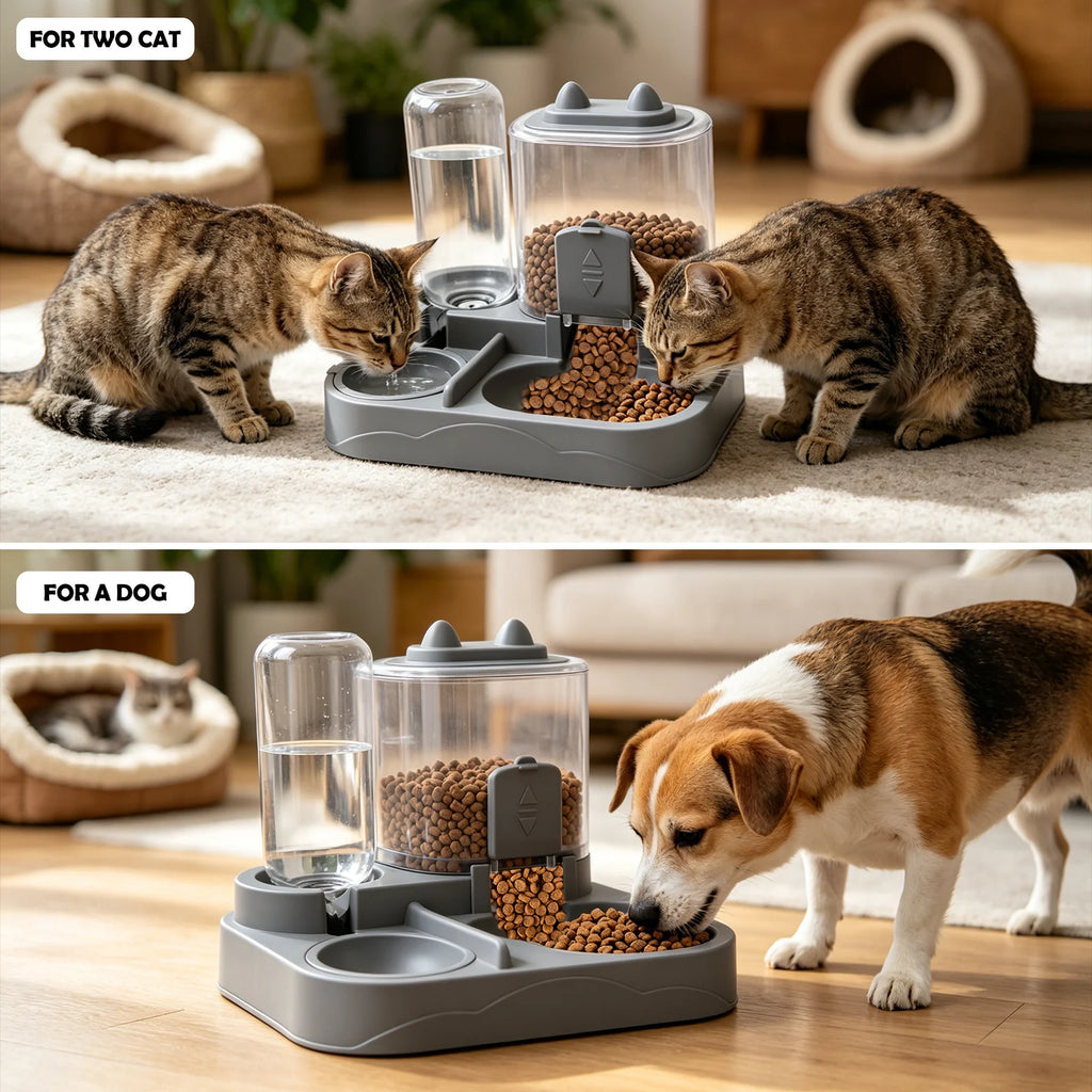 2-in-1 Automatic Pet Feeder & Fountain