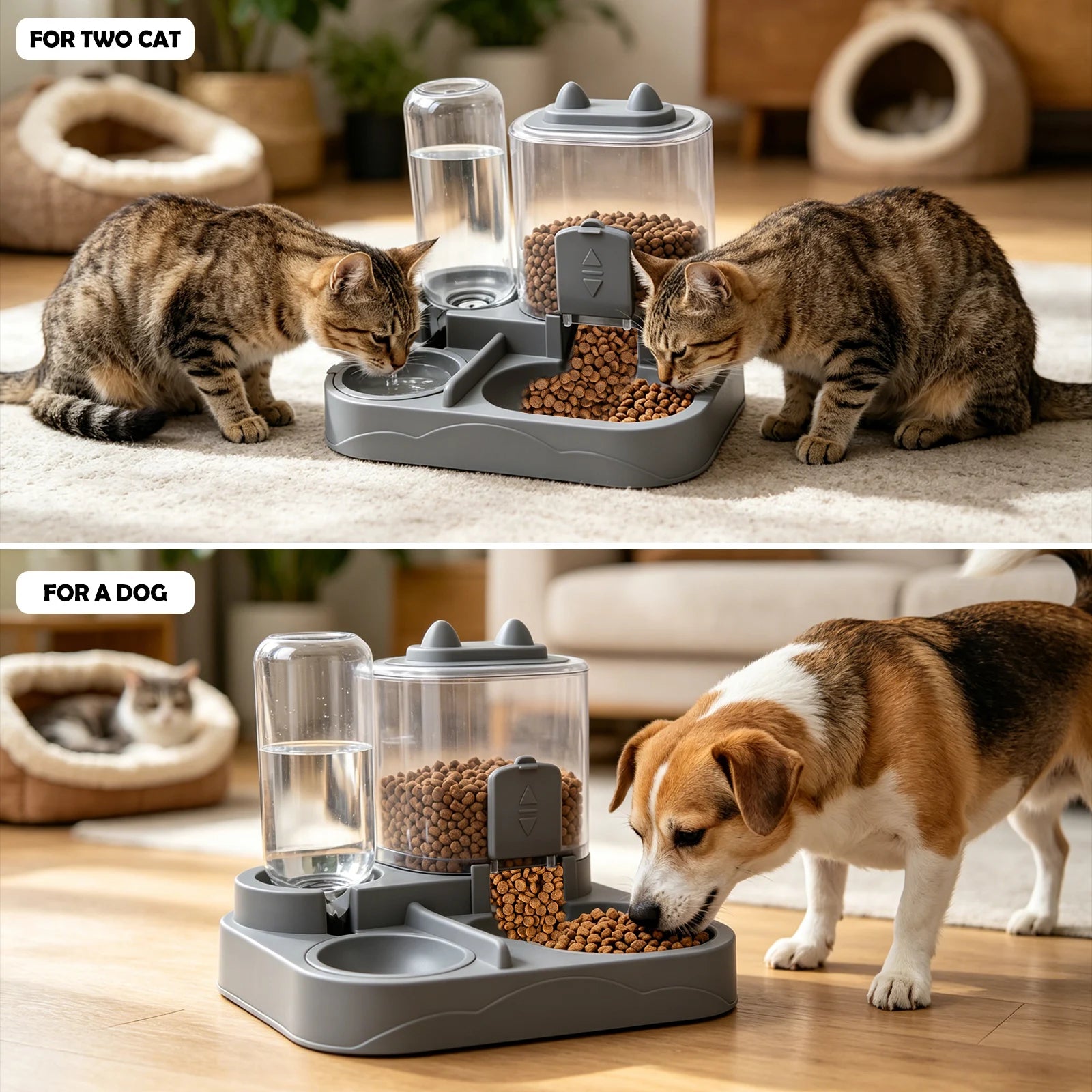 2-in-1 Automatic Pet Feeder & Fountain