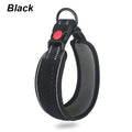 Reflective Padded Dog Collar