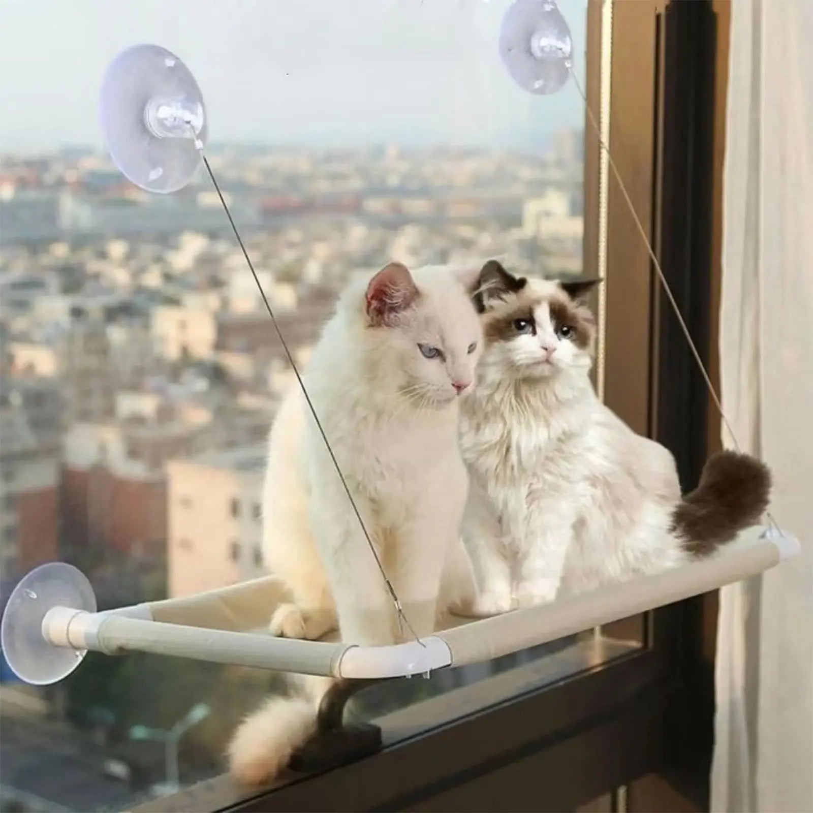Cat Window Hammock