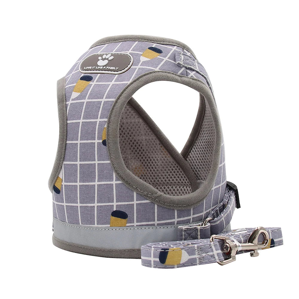 Plaid Small Dog Harness & Leash