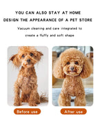 SoftAura 2026 New Pet Hair Dryer Blowing Comb Strong Wind Dog Grooming Brush Cool Air Drying Professional Home Pet Care