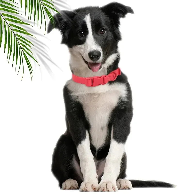 Macaron Color Waterproof Dog Collar