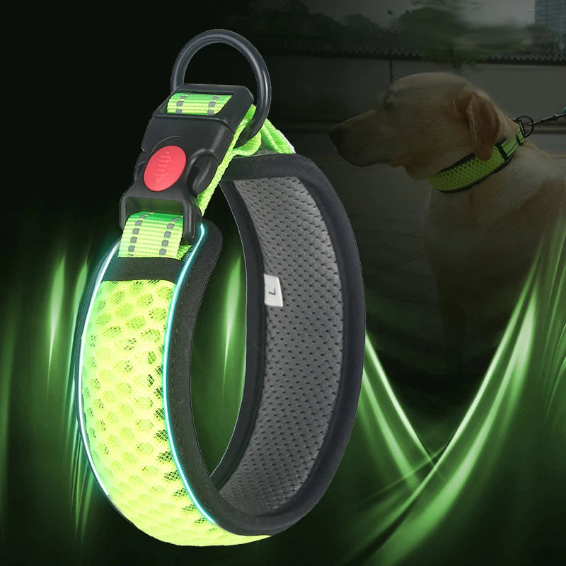 Reflective Padded Dog Collar