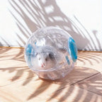 Small Pet Exercise Ball