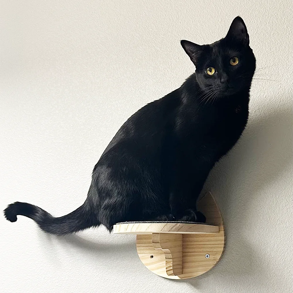 Modern Hardwood Cat Wall Shelf